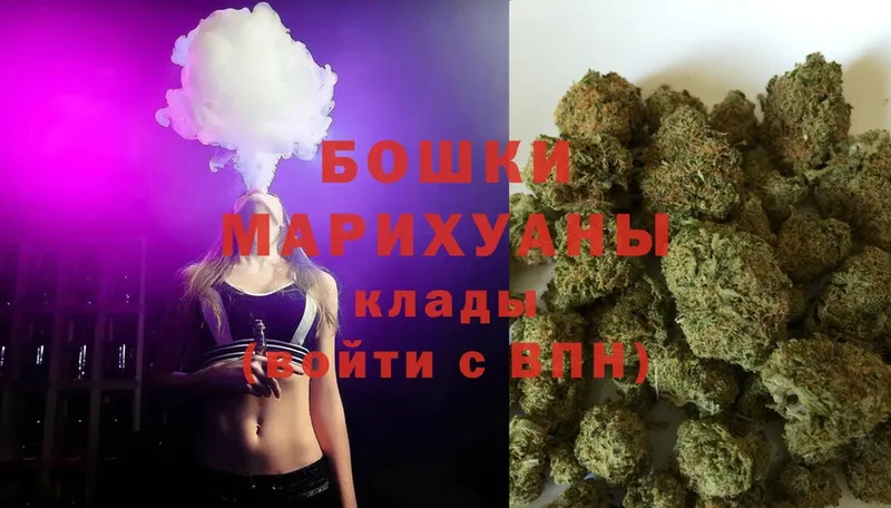 где можно купить   Раменское  Шишки марихуана OG Kush 